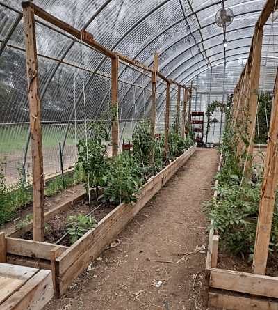 2024 05 01 ALLAPA GARDENS inside greenhouse 3 1