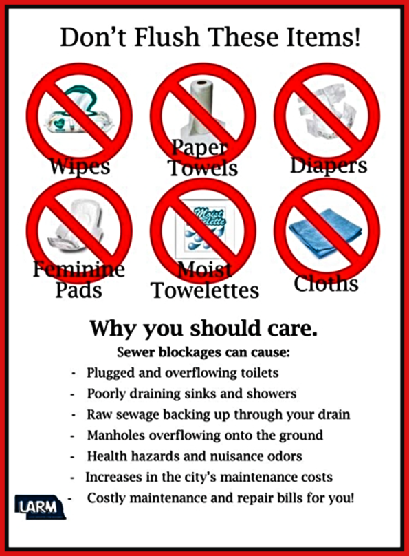 2021 01 20 DO NOT FLUSH 1