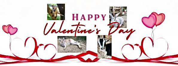 2023 02 01 MRY SCATTER JOY VALENTINES