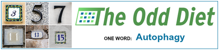 OddDiet banner