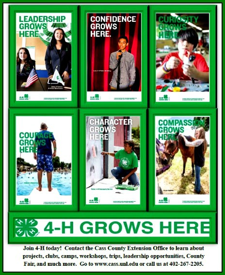 2016 01 20 4 H Enrollment flyer