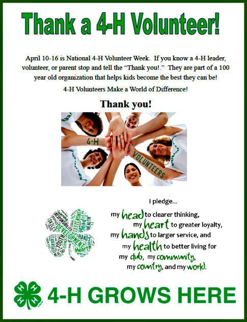 2016 03 30 4 H volunteers
