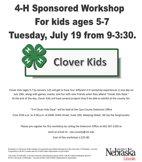 2016 07 06 4 H Clover Kids Daze Workshop
