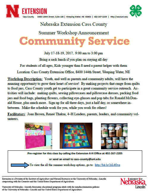 2017 06 28 4 H Community Service Workshop