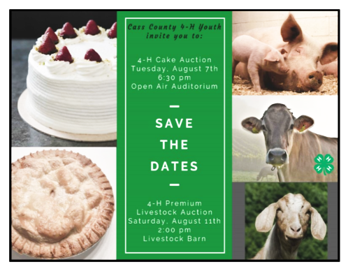 2018 07 25 4 H Livestock Cake Auction Postcard Invitation