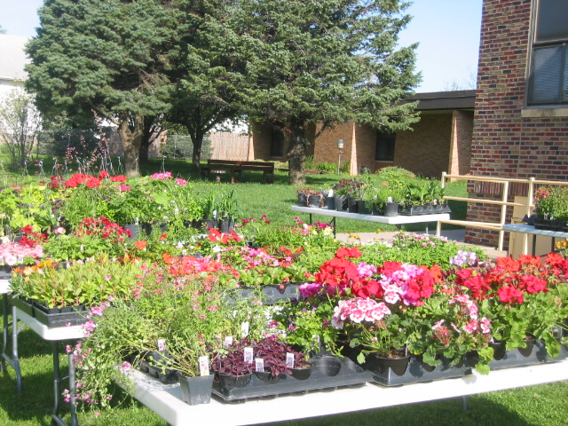 05-02-09_DI_Team_Plant_Sale_1