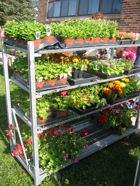05-02-09_DI_Team_Plant_Sale_2