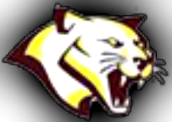 Cougar