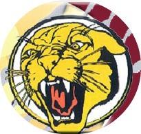 conestoga cougar_picnik