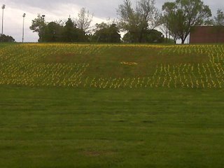 05-05-2010_fbla_flags_3
