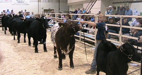 08-2010_WADE_SEXTON_-_FFA-1