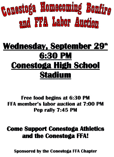 09-15-2010_Bonfire__Auction