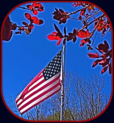 2023 05 17 Smokebush and flag 2