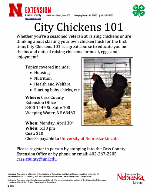 2018 04 04 WW UNL City Chickens