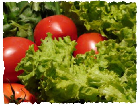 2012-06 Lettuce_and_tomatoes