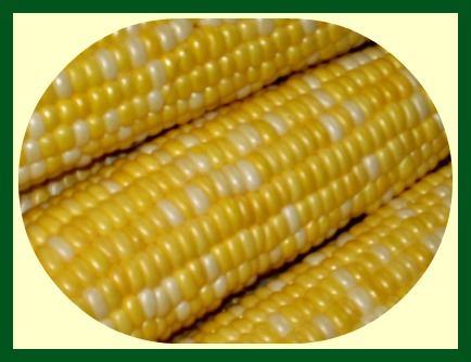 2014-08-06 Sweet_corn