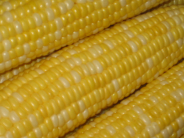 Sweet_Corn