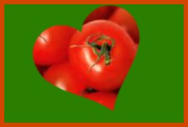 TOMATOES