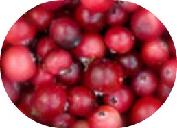 cranberries