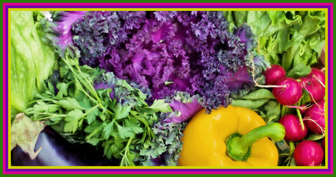 garden harvest