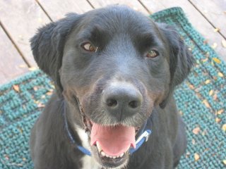 09-23-09_Shadow