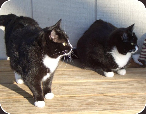 12-22-2010_Thi_and_Chi