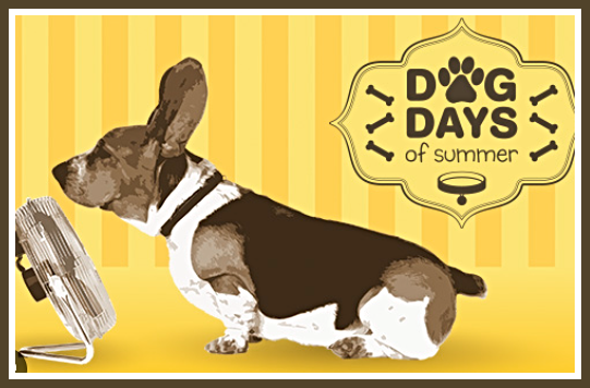 2023 08 09 DOG DAYS 1