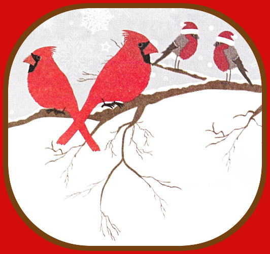 2025 12 10 CARDINALS in SNOW