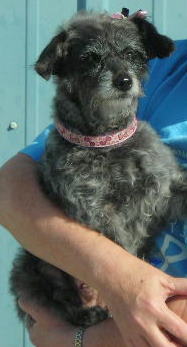 Happy_Paws_Baby_Lynn