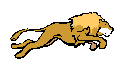 Lion02