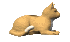 cat2
