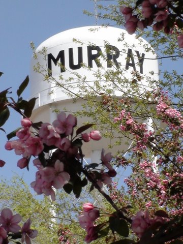 04-17-10_Murray_Water_tower