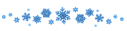 2020 01 snowflake page divider