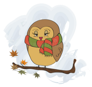 2022 11 30 cold bird