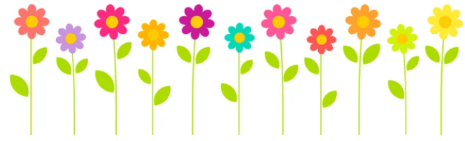 2023 05 31 summer flower border