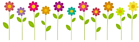 2023 05 31 summer flower border 1