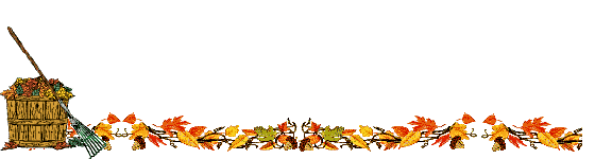 2023 09 06 AUTUMN LEAVES RAKE