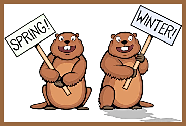 2024 01 10 groundhogs spring winter 1
