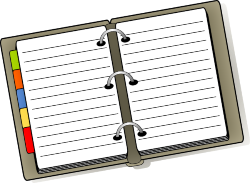 Diary 1 1
