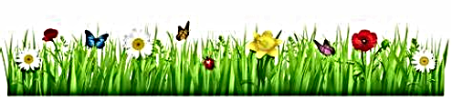 FLORAL BORDER