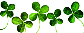 clover 2