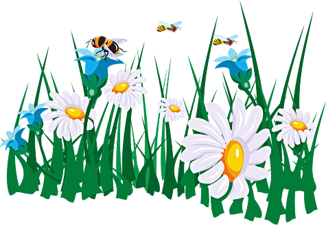 flowers pollinators 1 1