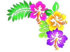 hibiscus corner hi 1
