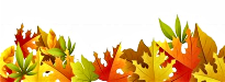 page divider leaves r
