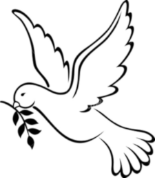 peace dove l