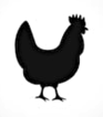 silhouette chicken 1