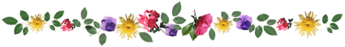 spring flowers divider 1