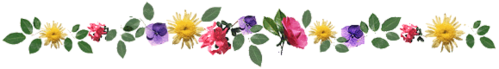 spring flowers divider 2
