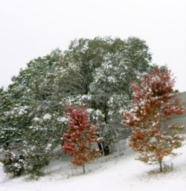 10-10-09_Omaha_I-80_trees