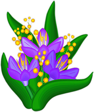 crocus